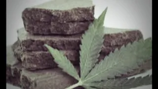 هذي غير نبتة واش نقول فيك انت 