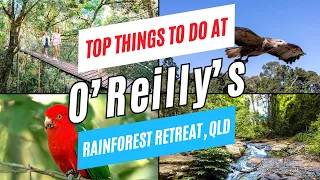 O REILLY S RAINFOREST RETREAT Top Things to Do in ONE DAY Lamington National Park Queensland