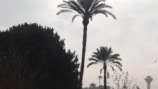 الهدوء أسلوب راقي لا يعرفه كل البشر والرضا بالقدر هو الراحة النفسية في هذه الدنيا  الهدوء أسلوب راقي لا يعرفه كل البشر والرضا بالقدر هو الراحة النفسية في هذه الدنيا