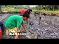 Download Lagu Cicipi Lezatnya Camilan Favorit Si Bolang yang Bikin Nagih! | SI BOLANG (28/05/24)*