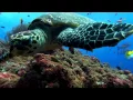 Download Lagu Oxygene - The Ocean (remix) [HD]