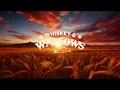 Zach Bryan - Letting Someone Go (Lyrics)