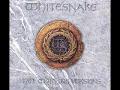 Whitesnake - Standing in the Shadows ( 1987 Version )