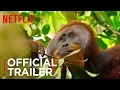 Video di Our Planet | Official Trailer [HD] | Netflix