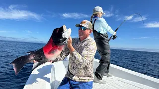 The ABSOLUTE last thing I EVER thought I d CATCH 47 miles offshore of Mag Bay