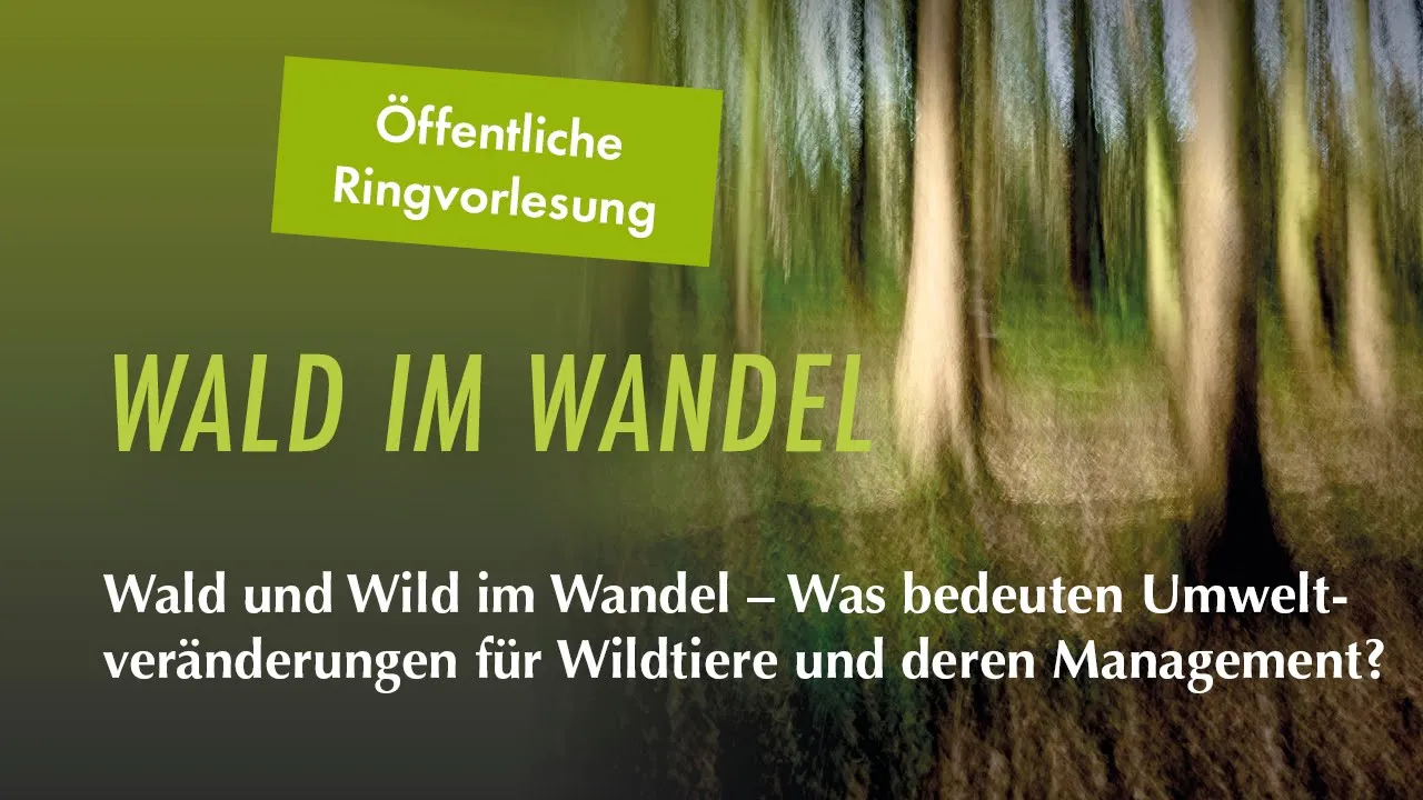 Wald und Wild im Wandel: Was bedeuten Umweltveränderungen für Wildtiere und deren Management?