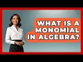 What Is A Monomial In Algebra - Your Algebra Coach