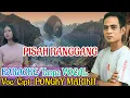 Download Lagu PISAH RANGGANG Karaoke/Tanpa vocal...Lagu dayak karaoke tanpa vocal..