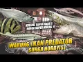Lagu TERMURAH SE-INDONESIA !! TOKO IKAN PREDATOR SUPER RARE \u0026 HIDDEN GEM | SURGA PARA HOBBYIST !