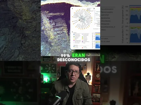 Encuentran 12 000 Nuevos Tipos de Virus en las Profundidades del Océano