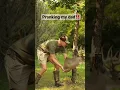 Download Lagu Pranking my dad! #feathersandfins #deerhunting #prank