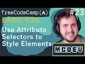 Use Attribute Selectors to Style Elements Basic CSS Solution Overview