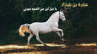 عنترة بن شداد     يا ع بل  أ ين  م ن  الم ن ي ة  م هر بي دندنها
