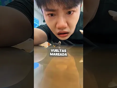 Adoptó una abeja como mascota y ella se vengó 😱‼️