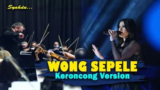 wong sepele ndarboy genk keroncong version cover