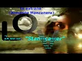 "Te extraño" (Armando Manzanedo) Guitar cover by: "Staniscaster"