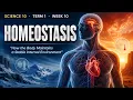 HOMEOSTASIS - PART 1