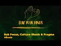 Sub Focus, Culture Shock & Fragma - Miracle
