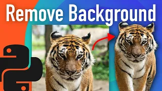 Unleash the Magic of Python Remove Image Backgrounds with Ease Using Rembg