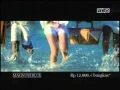Antv Magnum Blue