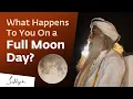What Happens To You On a Full Moon Day