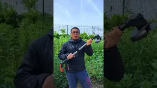 تخلص من الأعشاب الضارة في الفناء بسهولة 