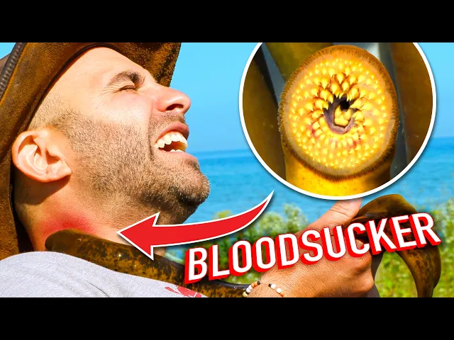 Video: Do NOT Let This Fish Bite You! (Sea Lamprey vs. Coyote) & MORE!