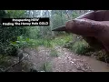 Lagu Prospecting for a New honey hole! || Mogo State Forest NSW Australia