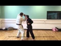 Bubishi Defense 8