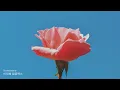 Kpop & K-Indie | New Music |✨ Soowoo, Nive, homezone, oceanfromtheblue 2026 ✨