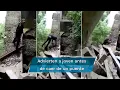 Download Lagu “Te va a jalar la muerte”: joven cae de puente de más de 30 metros en Atoyac, Veracruz