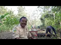 Download Lagu BEDAH RUMAH BERSAMA BAZARNAS GUNUNUNGKIDUL