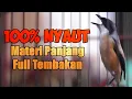 Lagu CENDET GACOR MATERI MEWAH TEMBAKAN PANJANG AMPUH BUAT MASTERAN TROTOL AGAR IKUT BUNYI