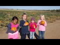 Pumpkin Patch - October 2015