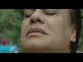 Juan Gabriel, Alejandro Fernández - Te Quise Olvidar