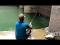 Download Lagu AWSOME fishing|fisherman catching defrent fishes with small hook|