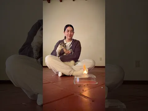 truco de magia 🪄