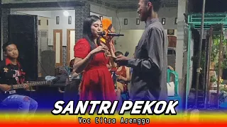 Download SANTRI PEKOK | VOC CITRA ARENGGA - New EKA NADA Ft DS Audio 2023 MP3