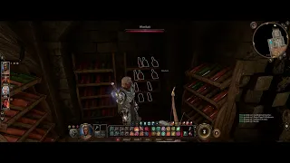 Baldur s Gate 3 - Act 3 Visit The Emperors Old Hideout Explore Elfsong Tavern Discover Secret Pass