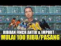 Lagu BUSYET ! RIBUAN BURUNG FINCH ANTIK \u0026 IMPORT DIJUAL UGAL UGALAN HARI INI DIKIOS LANGGENG JAYA