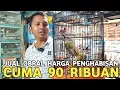 Download Lagu PENGHABISAN !! SRDC BALI 90 RIBUAN KACER JTN 150 RIBUAN CUNGKO JTN 950 RIBU DI PASAR BURUNG PRAMUKA 