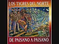 DE PAISANO A PAISANO-TIGRES DEL NORTE