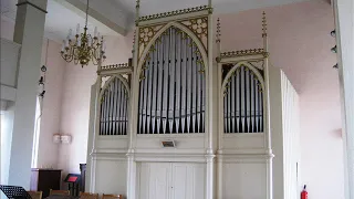                                                             دندنها
