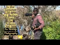 Is Tamron150-600 G2 a BETTER Bird Wildlife lens than the Nikon 200-500 Comparison