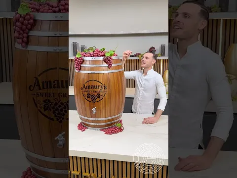 Chocolate Barrel! 🍇 And the Perfect Snacking Grapes. #amauryguichon #chocolate