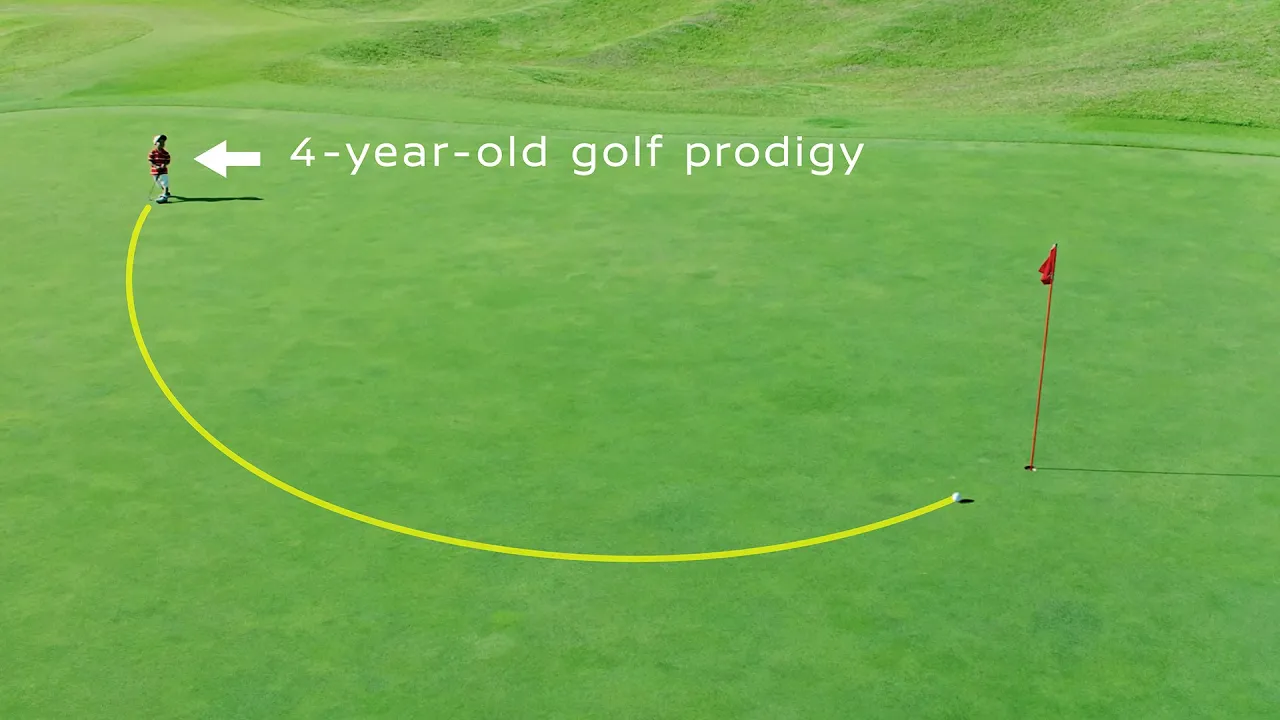 Превью видео ZWtoDRsWgkk