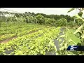 Oklahoma farm devastated unsure if they can get back on feet to feed customers