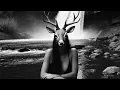 Download Lagu Beluga Lagoon - The Glen Techno Remix #viralvideo #viral #glen