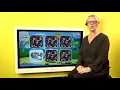 Kidzpace Touch2Play Junior Wall Contact Us for a Live Online Demo