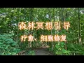森林疗愈冥想 | 医治冥想｜细胞修复 | 深层睡眠 | 抗癌冥想 | 放松解压｜健康冥想｜冥想引导｜睡眠引導｜醫治冥想｜深層療癒｜大自然療癒｜森林舒壓放鬆冥想